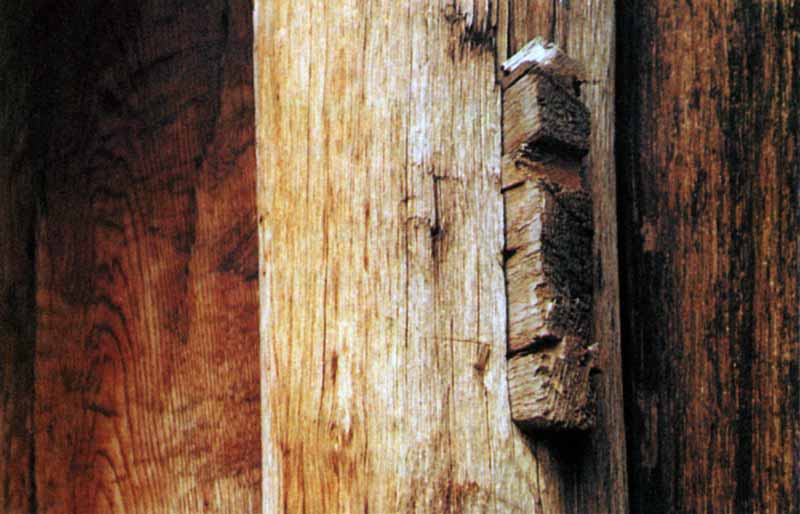 biskupin-detail-chevilles-porte-reconstituee
