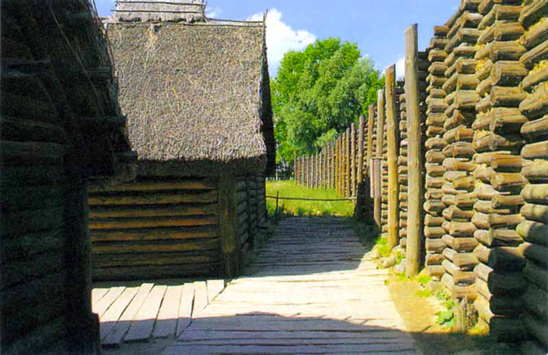 biskupin-maison-trottoir-rempart-reconstitues