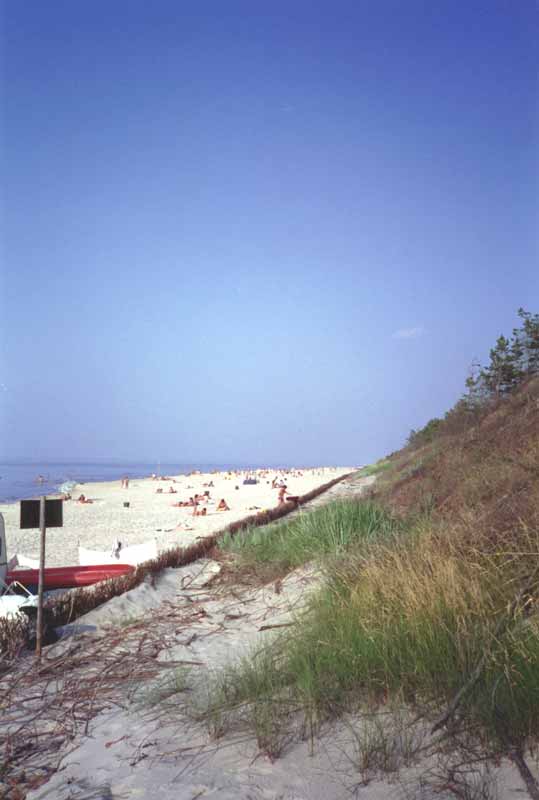 Dune en allant vers la plage de Leba