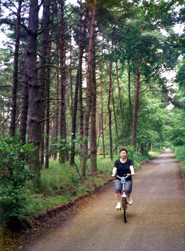 Leba : en route vers les dunes...
