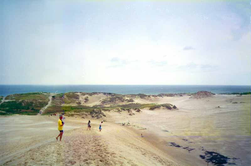 Sur la crête de la Grande Dune (et sous la
                        pluie...)