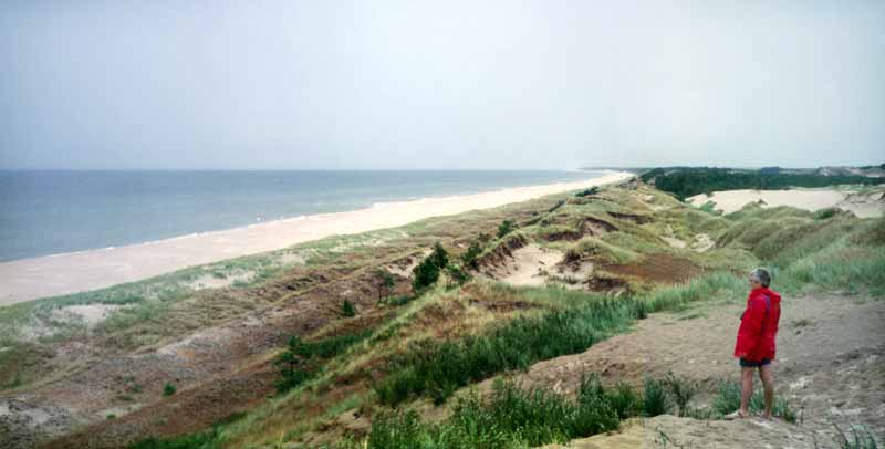 Depuis les dunes du Parc Slowinsky, la
                        Baltique...