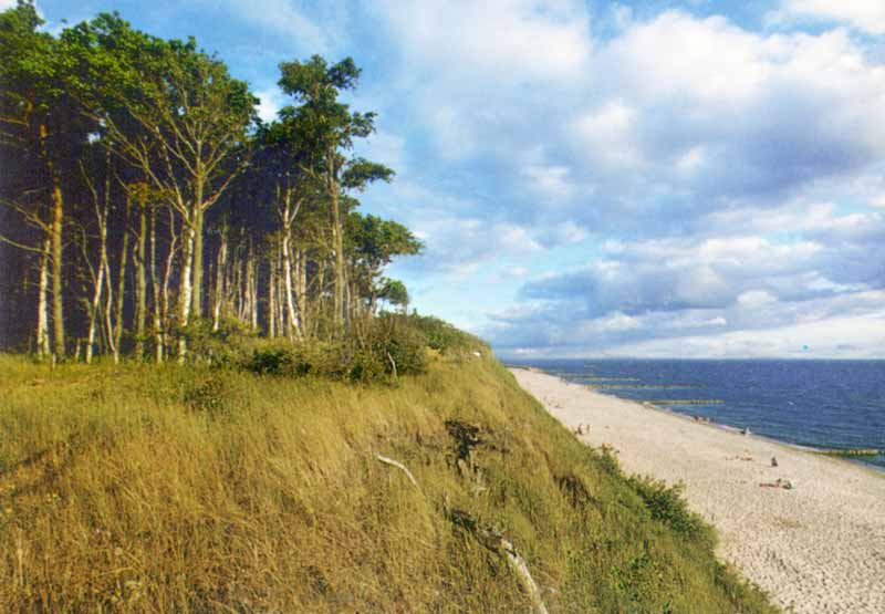 Rivage-de-la-Baltique