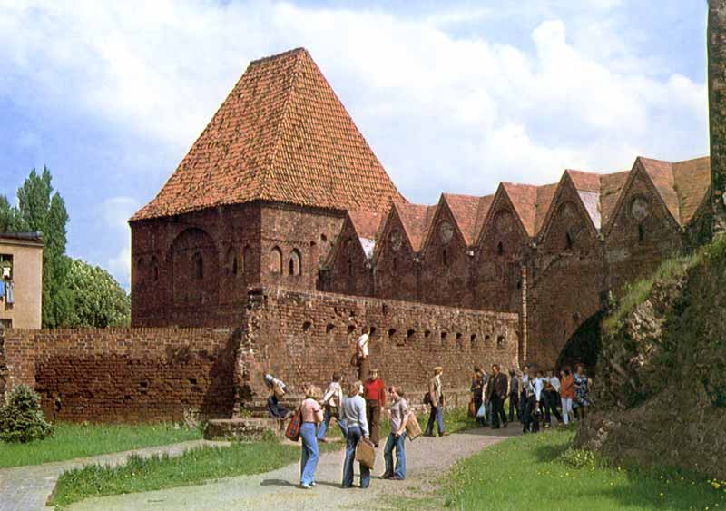 Torun : le château des Chevaliers teutoniques