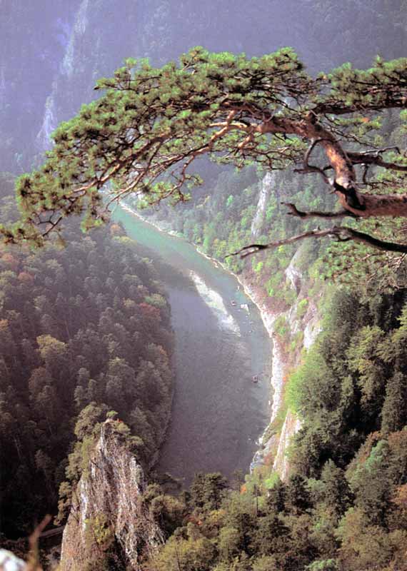 Une des magnifiques courbes de la Dunajec