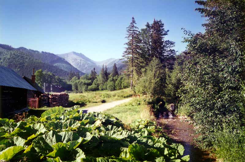 Javorina : le coin tranquille où nous avons
              bivouaqué...