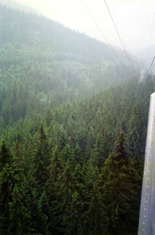 Descente du Kasprowy Wierch dans le nuage et la
                pluie