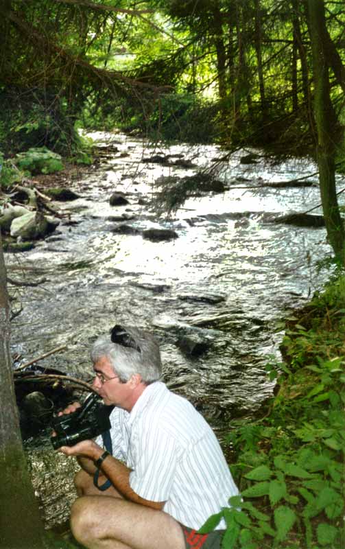 Près de Karlova Studanka, Jean-Paul filme le cours
              torrentueux de la Morava