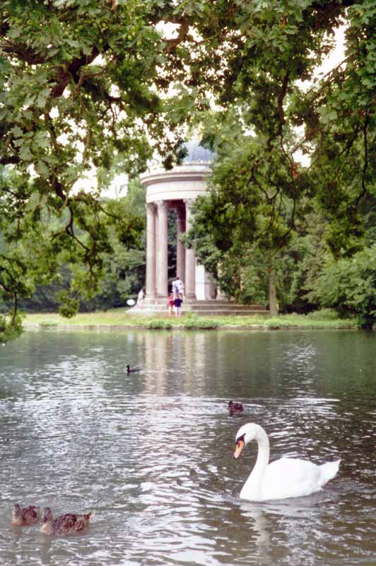 nymphemburg-cygne-devant-temple-apollon