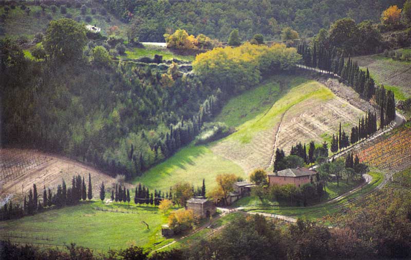 Campagne toscane
          entre San Geminiano et Sienna