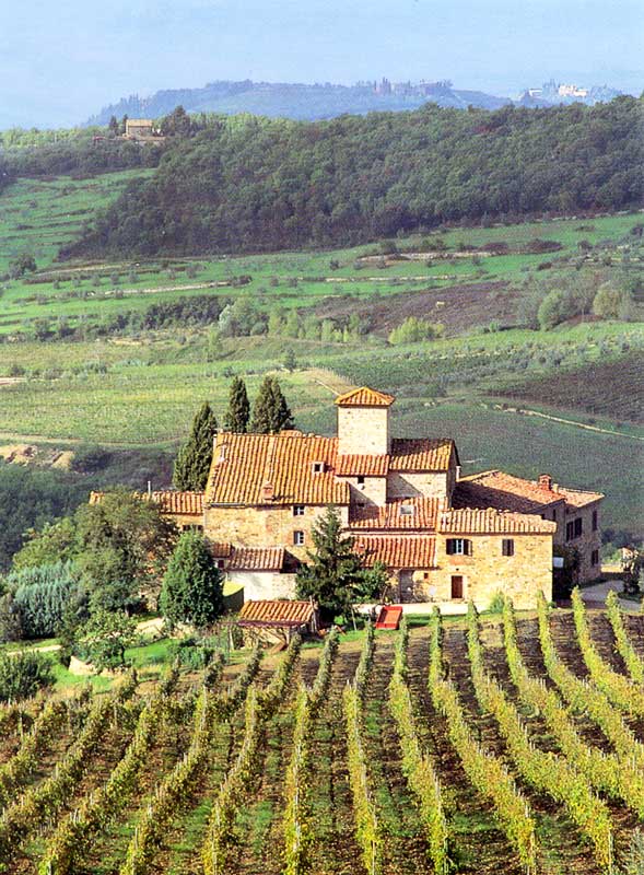 Castelina in Chianti