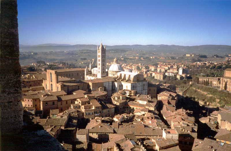 La
                cathédrale au-dessus des toits de tuilles de Sienna
                depuis le campanile