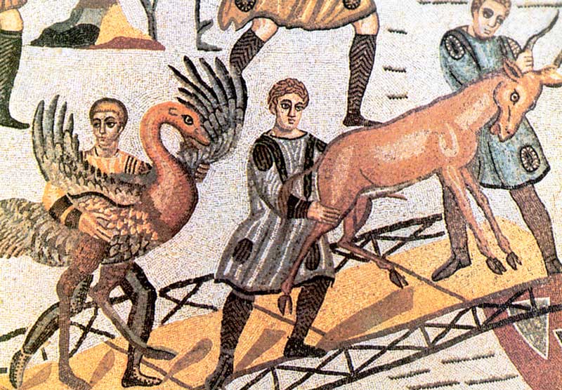 embarquement d'autruche et d'antilope
