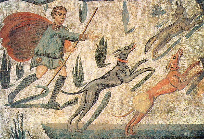 lévriers courant le renard