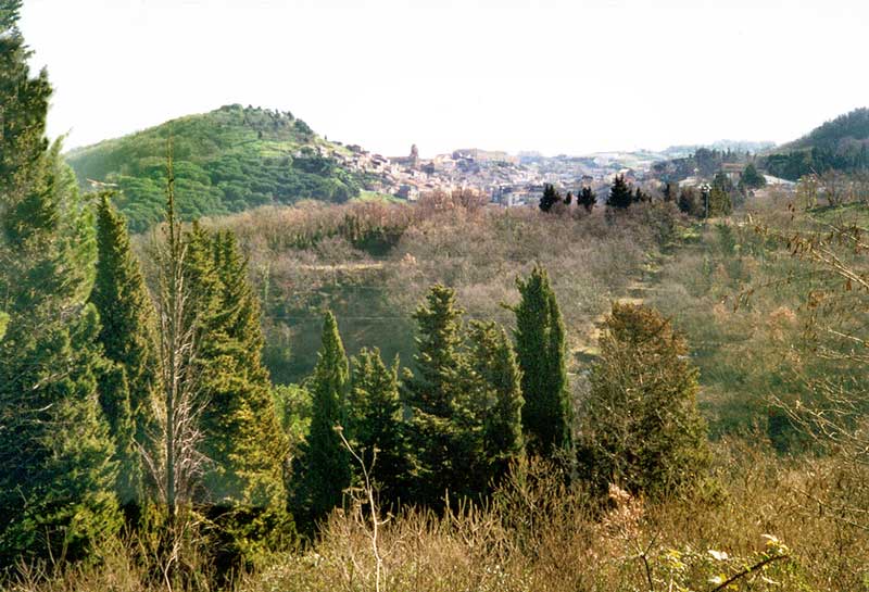 Campagne
                    sicilienne le long de la route allant vers Enna