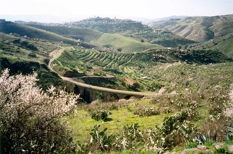Campagne
              sicilienne le long de la route allant vers Enna