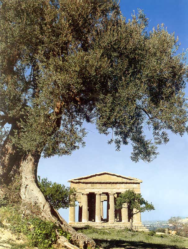 Agrigento : le temple de la Concorde