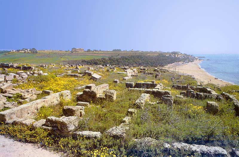 Selinunte : le site et quelques ruines à
                      distance