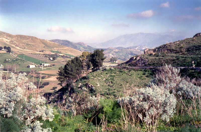 Vers Segeste : la petite route dans les
                    montagnettes