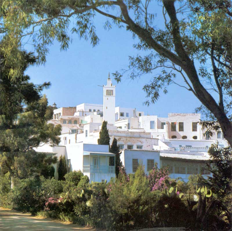 Sidi Bou Saïd :
              la mosquée et le centre du village depuis l'entrée du
              Palais Ennajma Ezzahra