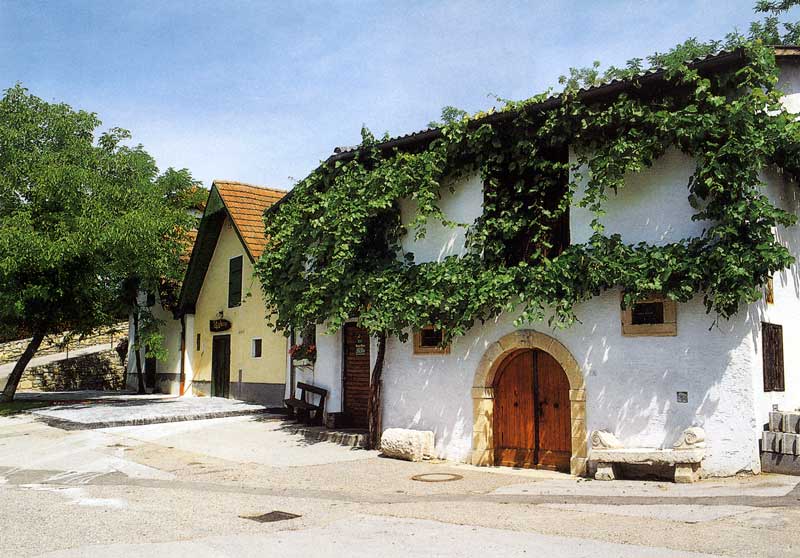 Cave vinicole
        à Morbish