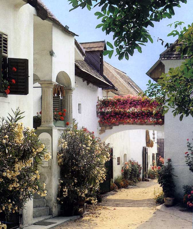 Ruelle fleurie
              de Morbish