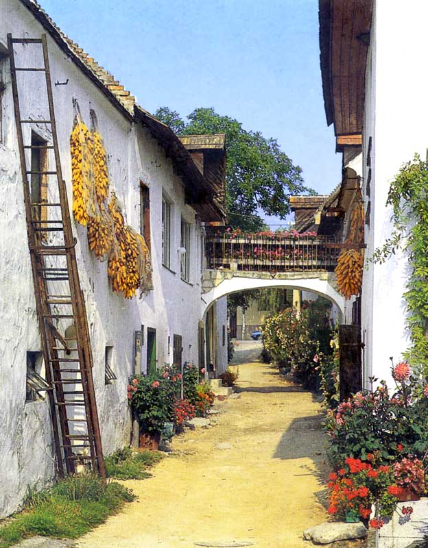 La même ruelle
              fleurie de Morbish