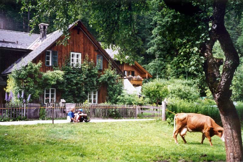 Le sentier
              vers Toplitzsee