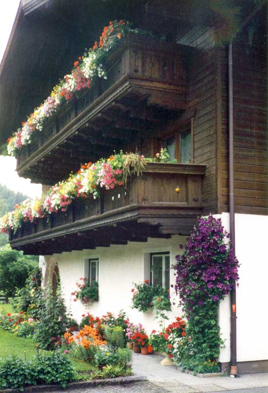 Chalet tout fleuri dans le Gosautal