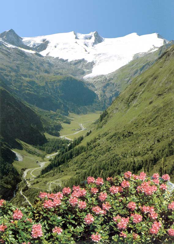 Début de
                la Felbentauernstrasse
