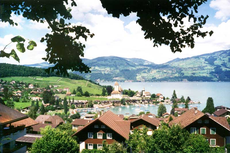 Panorama aur le lac de Thune à Faulensee