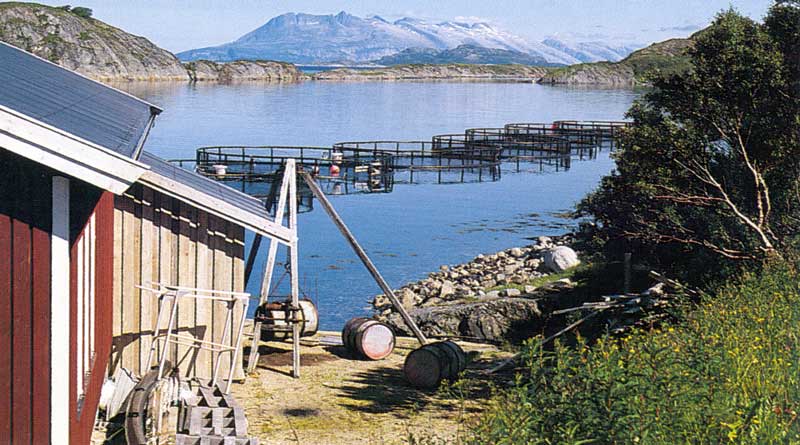 Pisciculture