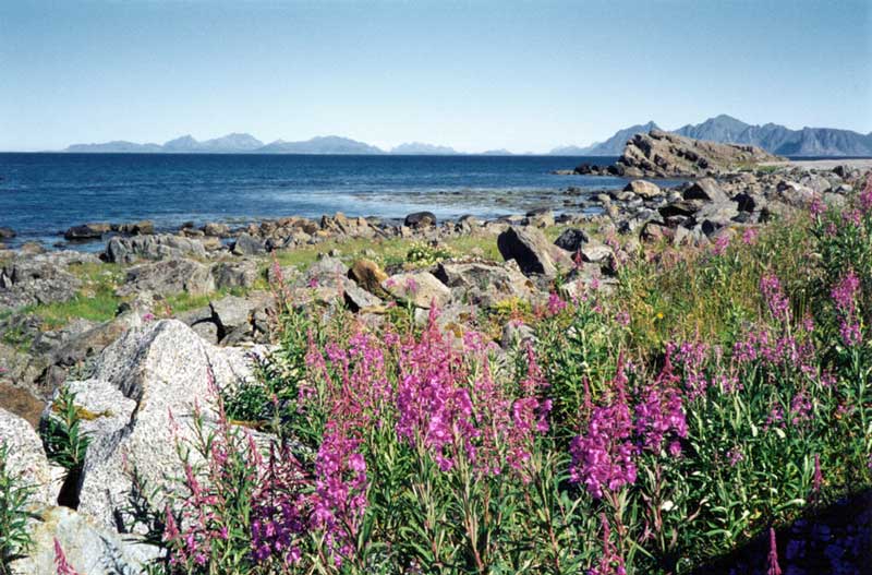 Eidsfjorden