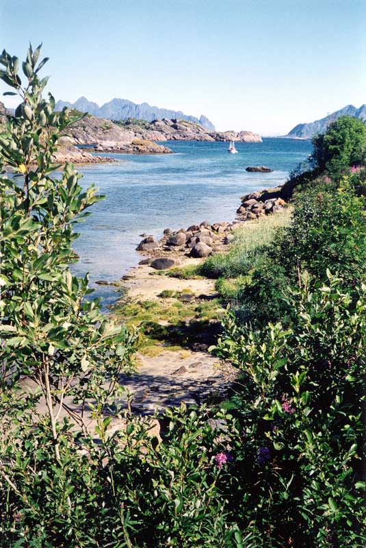 Kabelvag