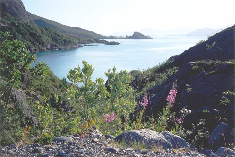 Hadsellfjorden