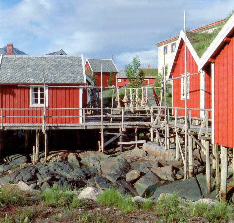 Les
                rorbuers du port de Å