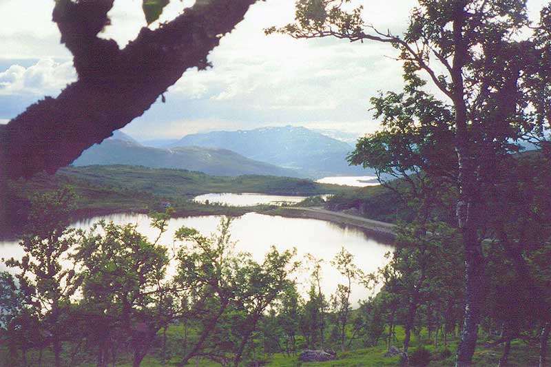 Depuis le
              Luttindan