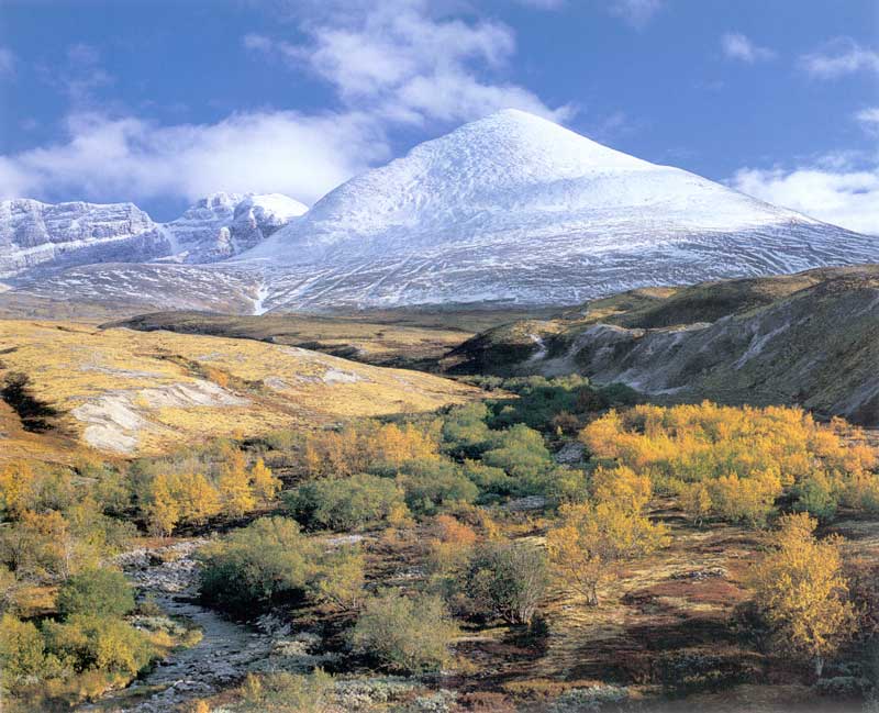 Dovrefjell