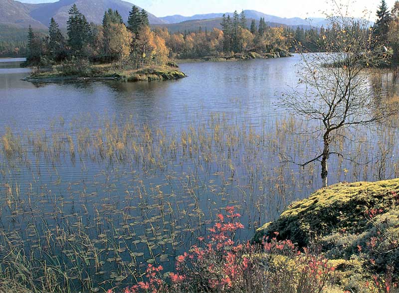 Lac Velfjord