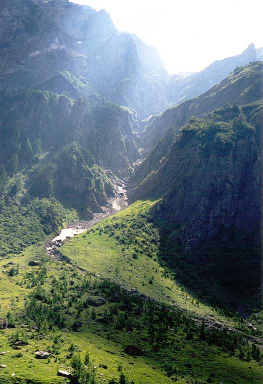 Le Torrent des Glaciers en allant vers
                            le Cormet de Rosselend