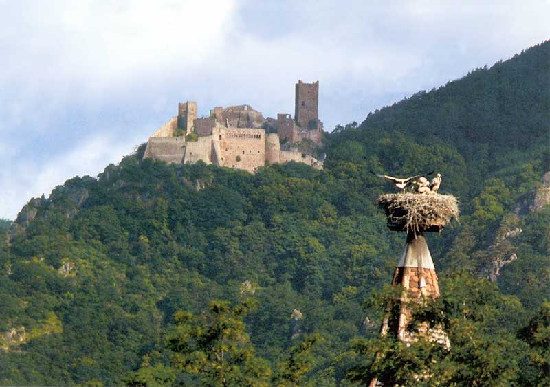 Au loin le château de St Ulrich