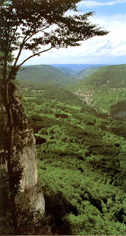 Poligny-reculee