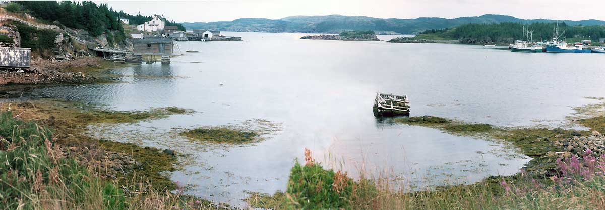 Purcell's Harbour