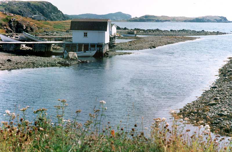 Twillingate