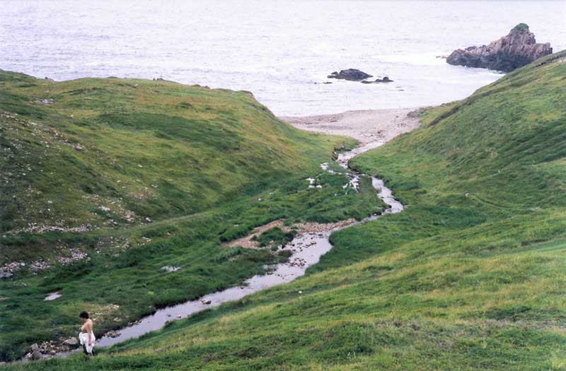 Burin - St-Lawrence L plage devant Ship Cove