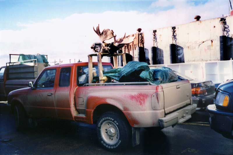 Retour de chasse...