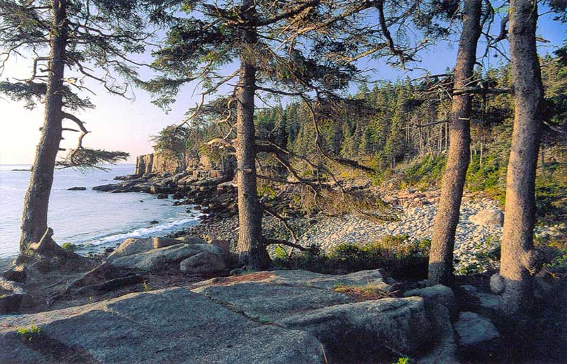 Balade le long du rivage en allant vers Otter Point