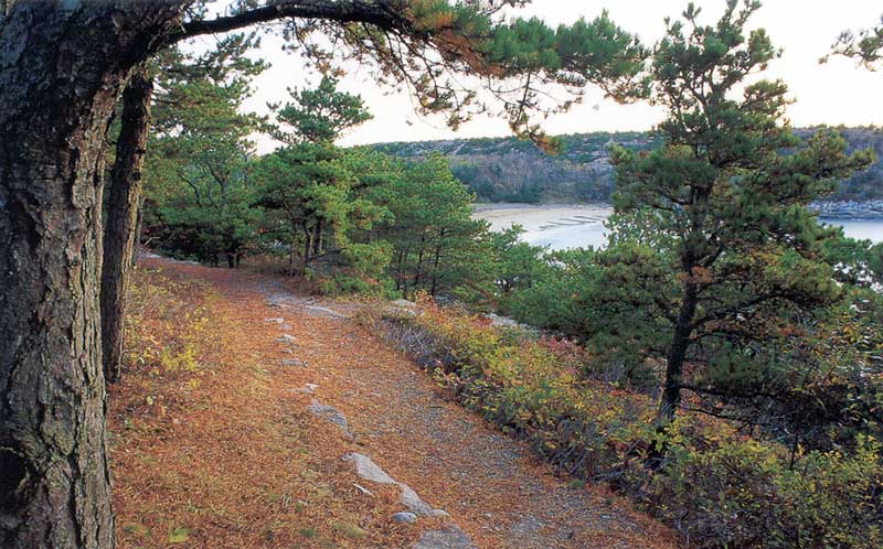 Le chemin au sud de Sand Beach en automne