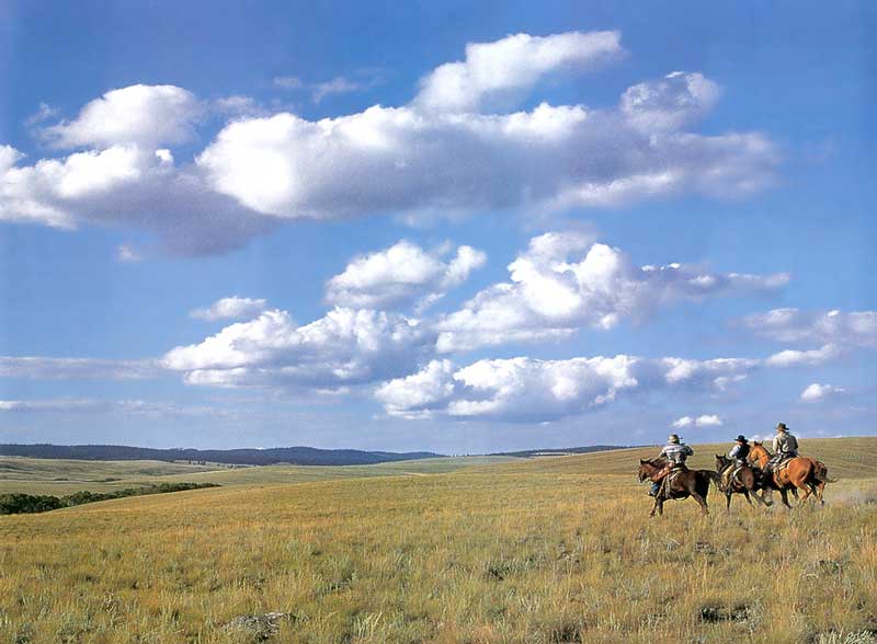 Cow-boys dans les Camloops