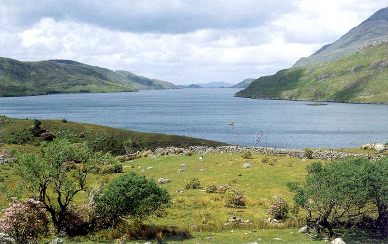 Connemara : Killary Harbour